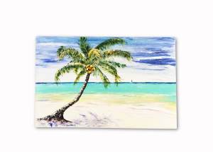 Best Boat trips Antigua, Private yacht Charter Jolly Harbour