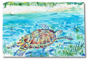 Best Boat trips Antigua, Private yacht Charter Jolly Harbour