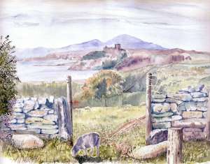 Best Boat trips Antigua, Private yacht Charter Jolly Harbour