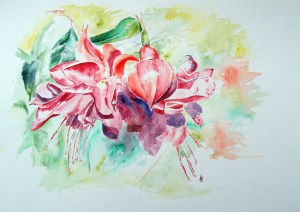 Best Boat trips Antigua, Private yacht Charter Jolly Harbour