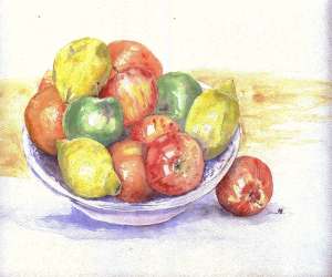 Best Boat trips Antigua, Private yacht Charter Jolly Harbour