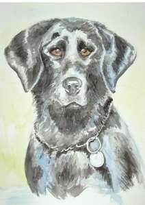 Best Boat trips Antigua, Private yacht Charter Jolly Harbour