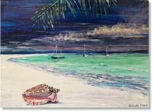 Swimming and snorkelling in Antigua