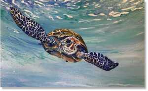 Best Private Yacht Charter Antigua