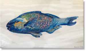 Parrot Fish Antigua Boat trips Snorkelling