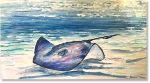 Stingray Best Snorkelling Boat trips Antigua