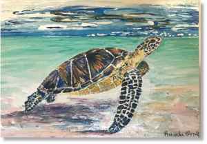 Turtle Best Snorkelling Antigua boat trips