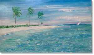 Best Swimming and snorkelling in Antigua